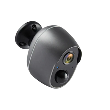 SafeWatch    Pro